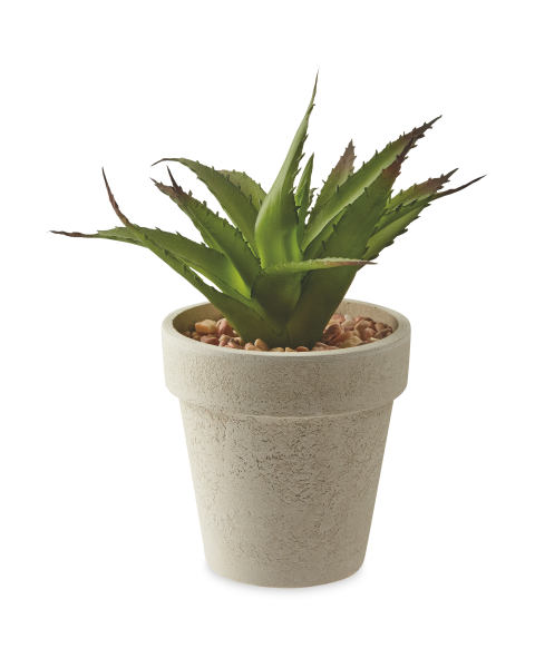 Artificial Sansevieria Cream Pot