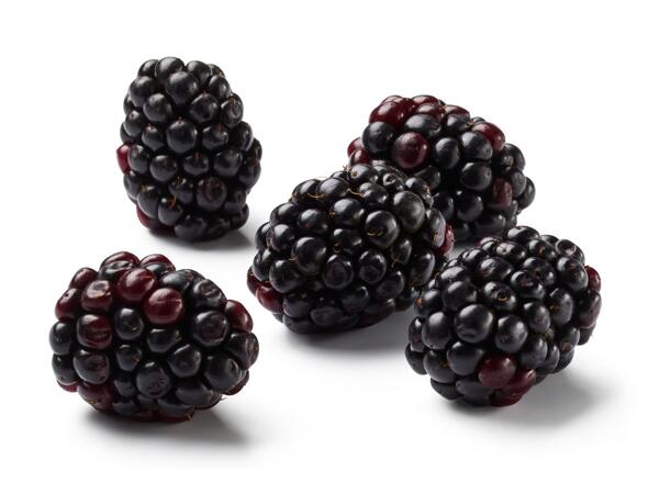 Brombeeren
