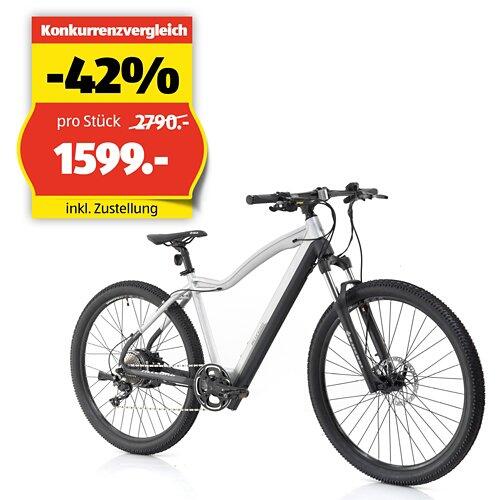 ALLEGRO Invisible E-MTB AXIM°03 19", Steel