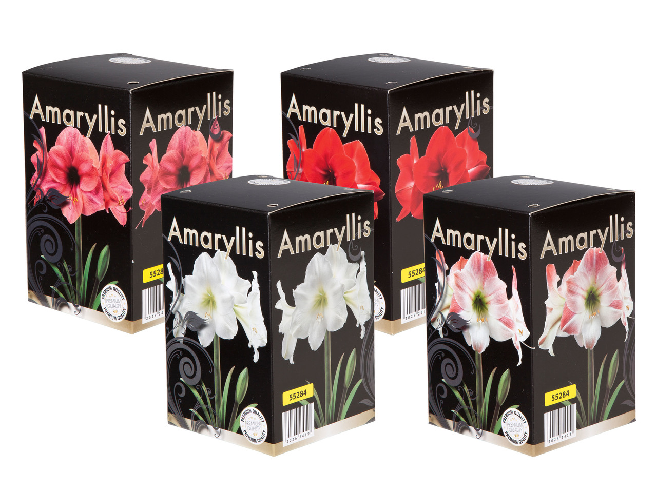 AMARYLLISLÖK