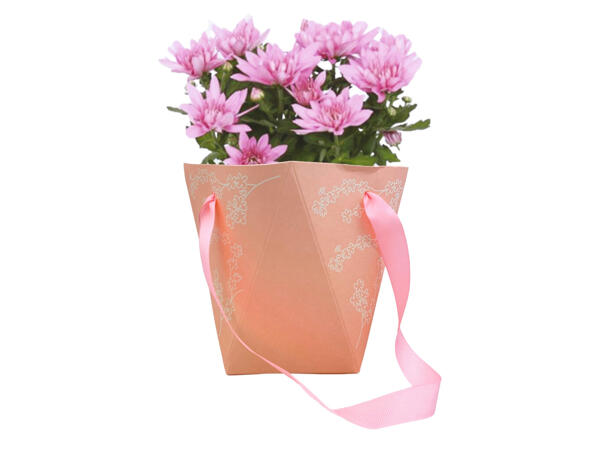 Potmum Bag