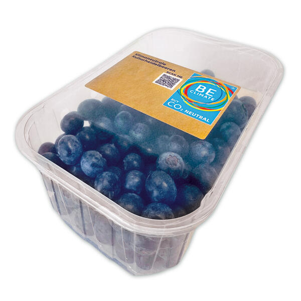 Premium Heidelbeeren