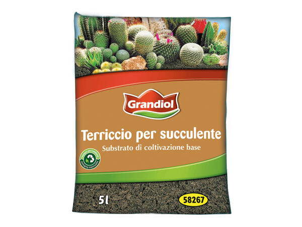 Soil for Succulents