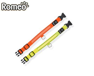Romeo Hundehalsband mit LED-Leucht- und Reflektionsstreifen oder LED-Leuchtband
