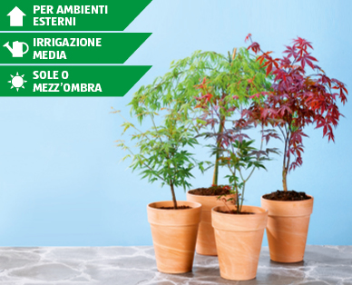 Acero GARDENLINE(R)