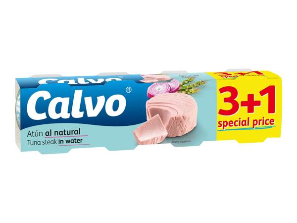 CALVO TUŇÁK