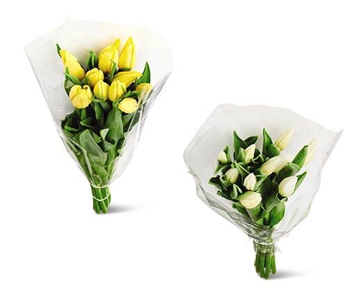 10-Stem Tulip Bouquet Assorted Colors