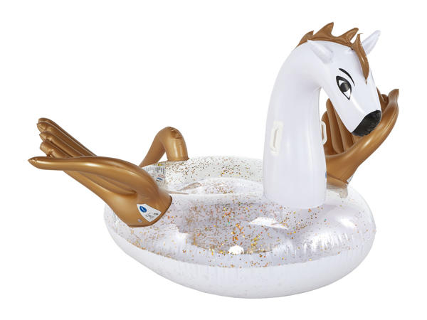 Crivit Inflatables 1