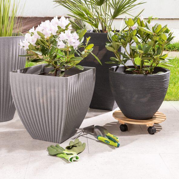 BELAVI(R) 				Kleiner Blumentopf