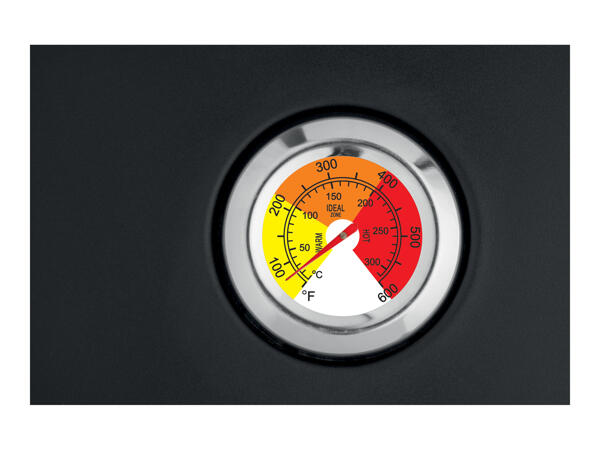 Grillmeister Barbecue Pizza Oven