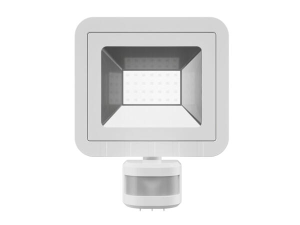 LED Outdoor Floodlight
