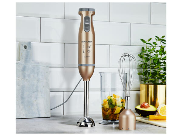 600W Hand Blender Set