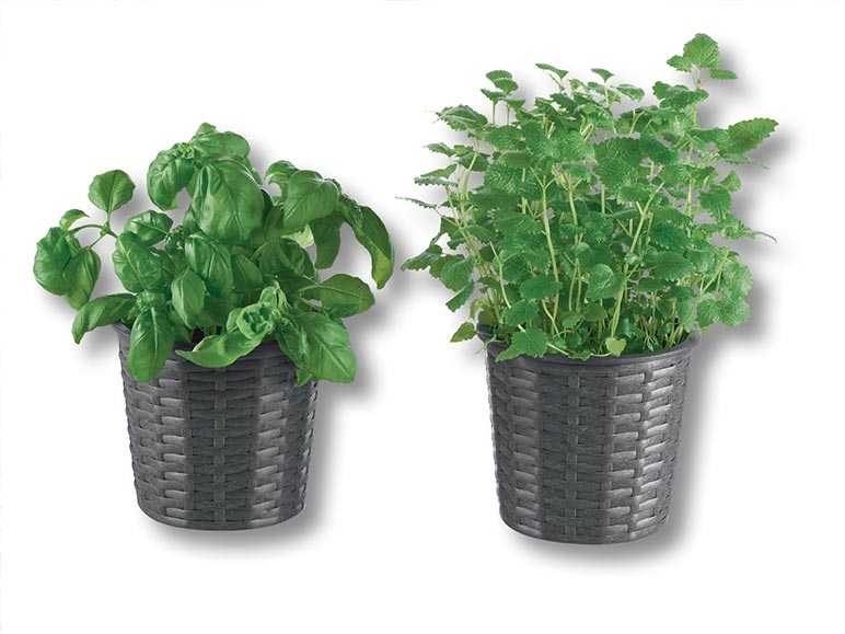 Pots pour balcon, 2 pièces