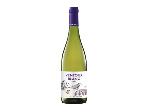 VENTOUX BLANC 2022