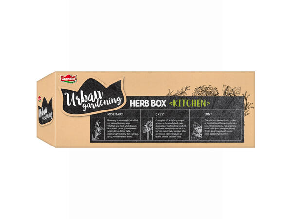 Kitchen herb box