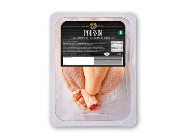 Poussin