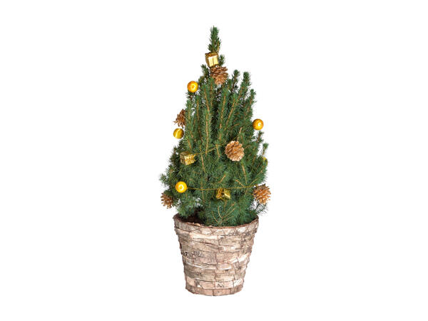 Decorated Christmas Tree