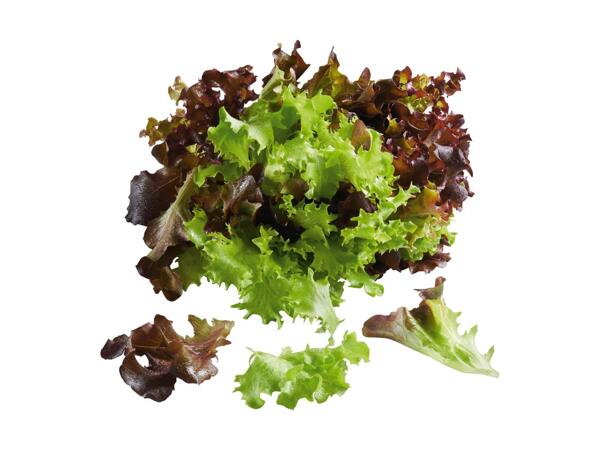 Salad Trio