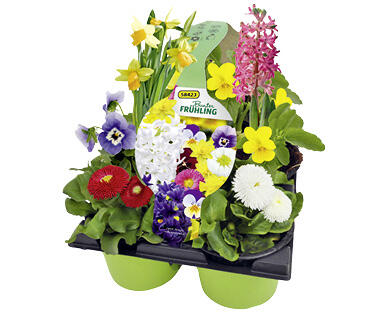 BUNTER FRÜHLING