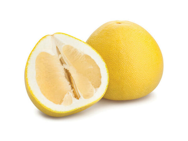 Pomélo