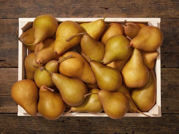 Poires