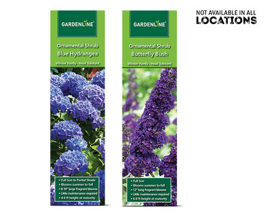 Gardenline Ornamental Shrub