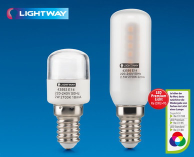 LIGHTWAY LED-Speziallampe