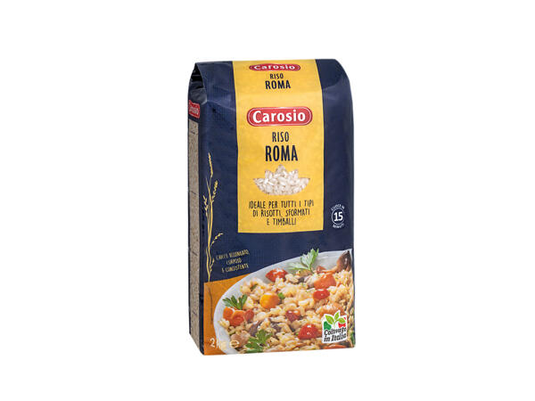 "Roma" Rice