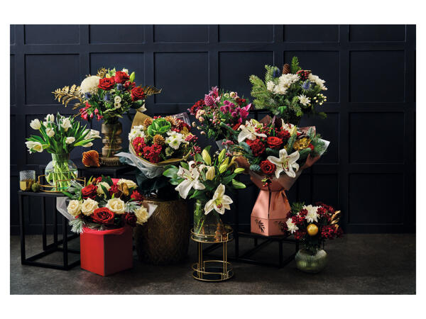 Christmas Tulips