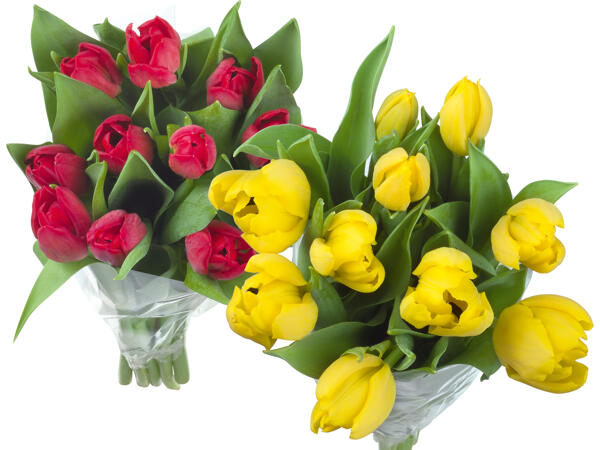 Tulpenstrauß