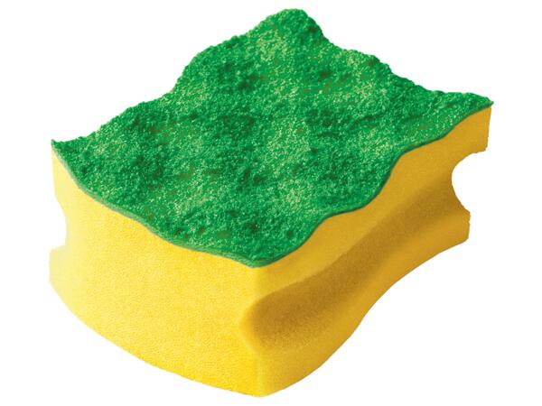 Cleaning Sponges