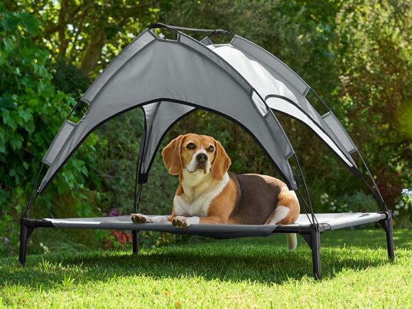 Raised Dog Bed
