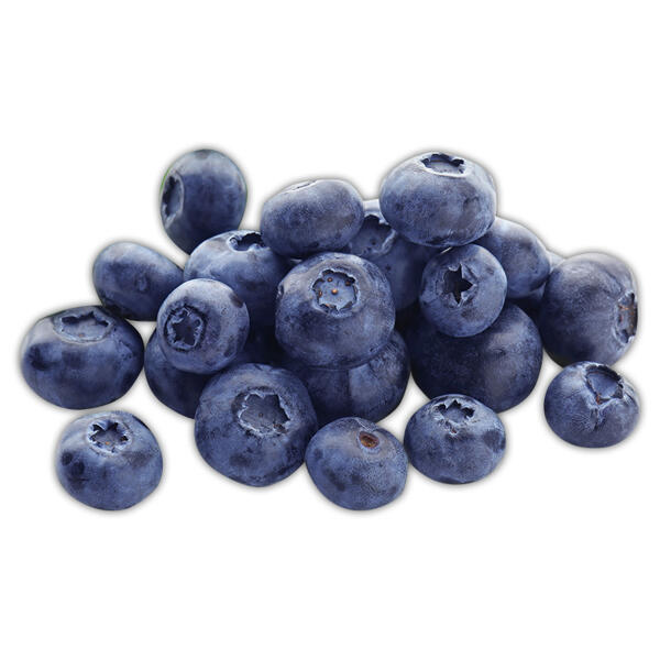 Premium Kulturheidelbeeren