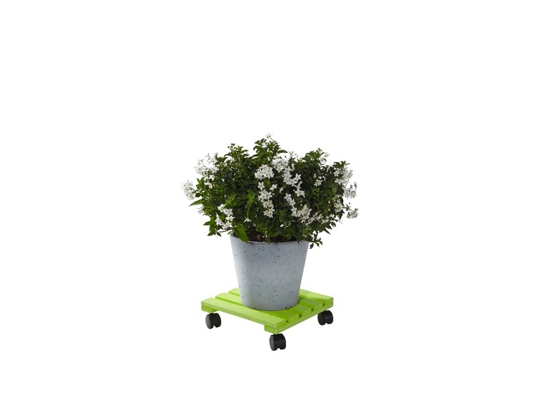 Plant Roller