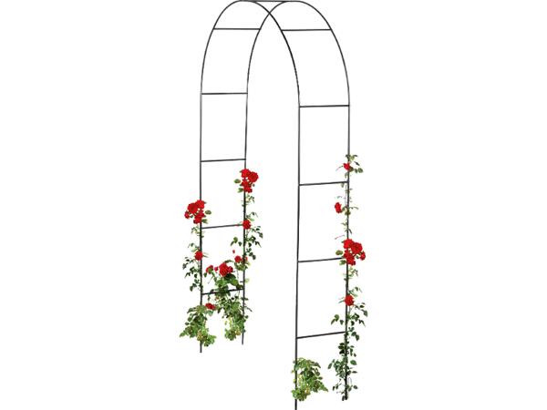 Rosenbåge/växtstöd