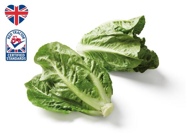 British Romaine Hearts