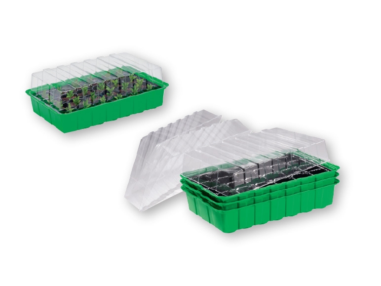 FLORABEST Seed Box Set