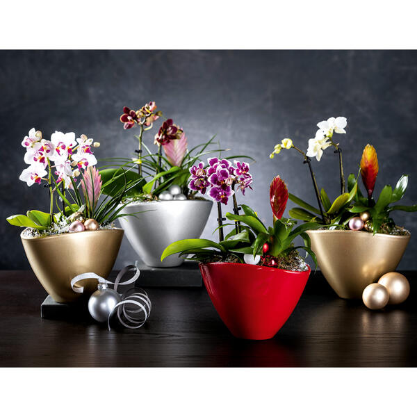 Exklusives Weihnachts-Arrangement