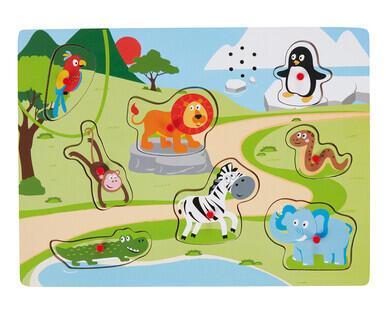 Sound Peg Puzzles