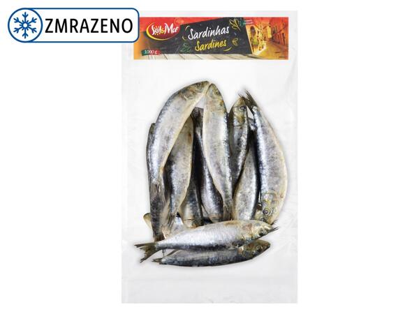 SARDINKY