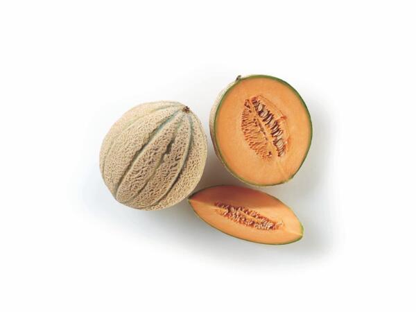 Melon netted skin