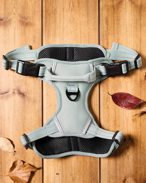 Autumn Dog Harness