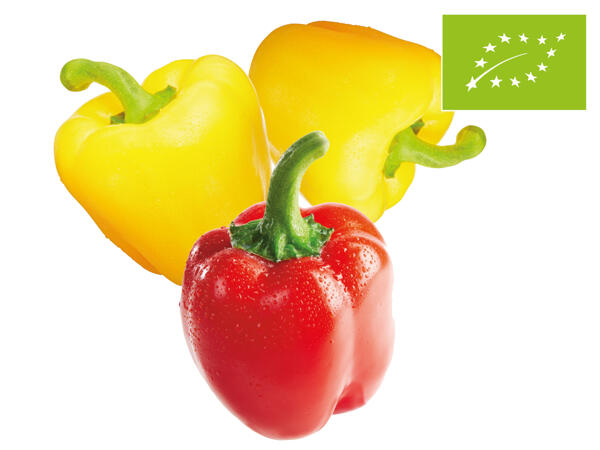 Bio Paprika-Mix