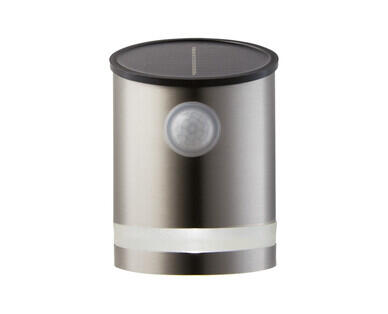 Solar Step or Wall Light