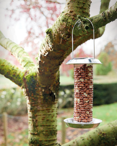 Bird Box Steel Peanut Feeder