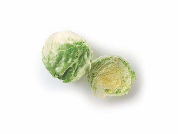 Lettuce iceberg