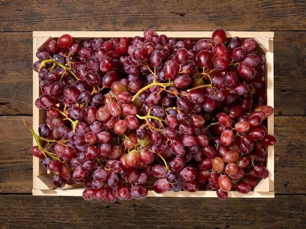 Raisins rouges sans pépins