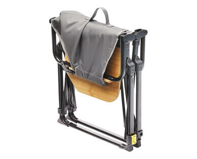Compact Director's Chair