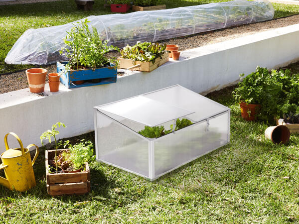 Cold Frame