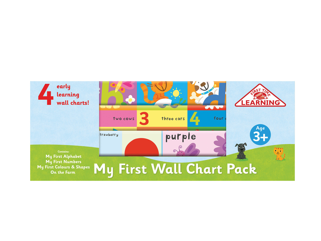 Wall Charts1